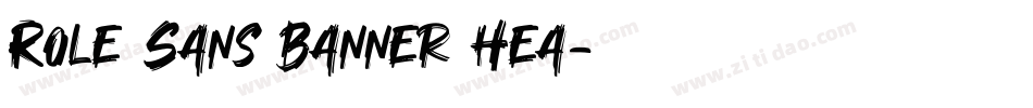 Role Sans Banner Hea字体转换